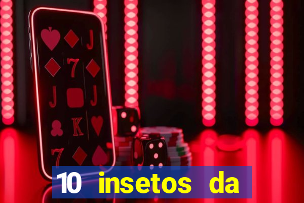 10 insetos da região sudeste