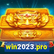 win2023.pro