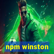 npm winston