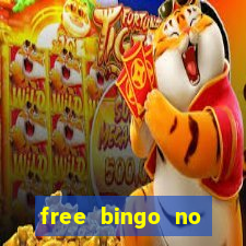 free bingo no deposit required