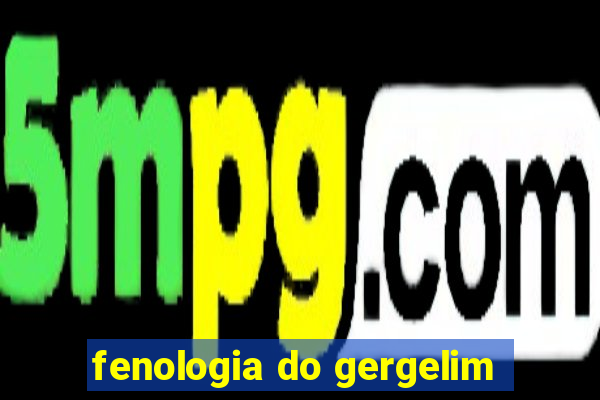 fenologia do gergelim