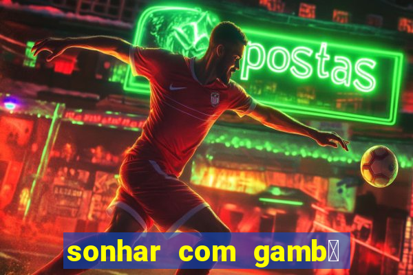 sonhar com gamb谩 jogo do bicho