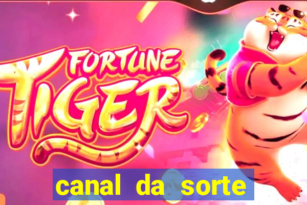 canal da sorte bingo de hoje