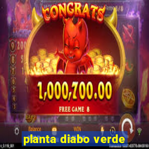 planta diabo verde