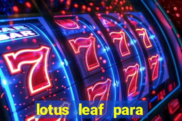 lotus leaf para que serve