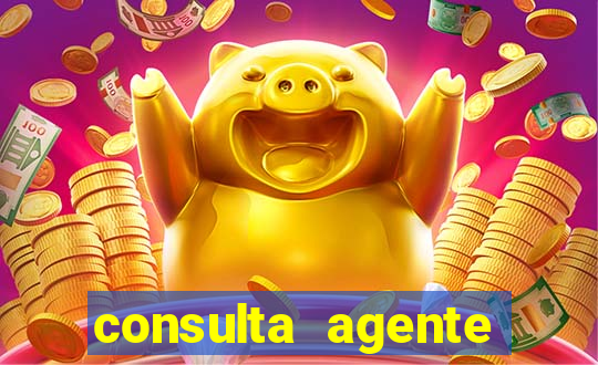 consulta agente autuador sp