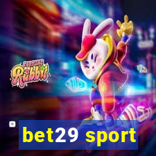 bet29 sport