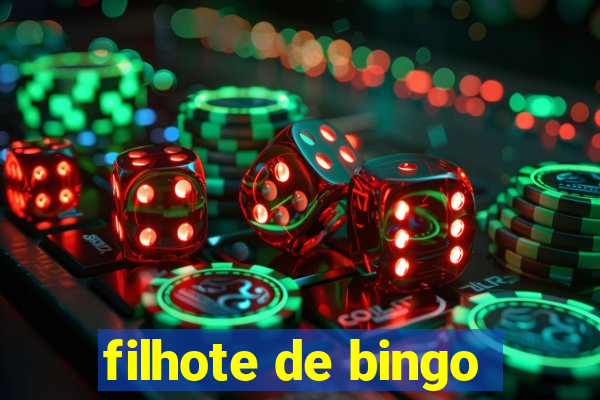 filhote de bingo