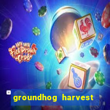 groundhog harvest pg slot