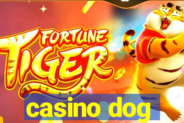 casino dog