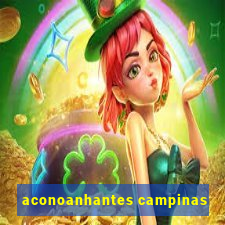 aconoanhantes campinas