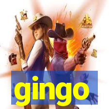 gingo