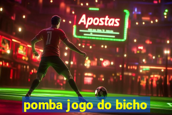 pomba jogo do bicho