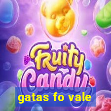 gatas fo vale