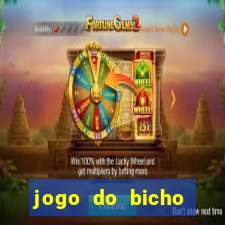 jogo do bicho globo play