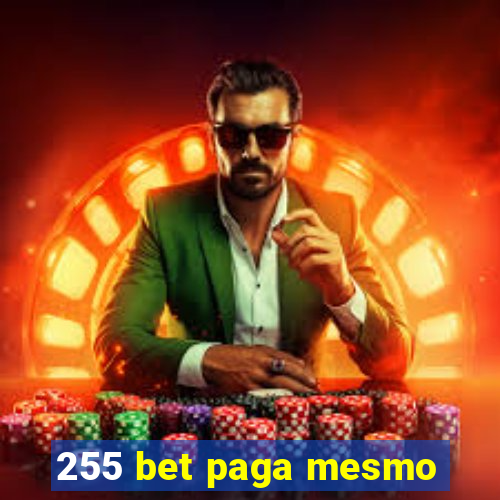 255 bet paga mesmo