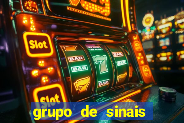 grupo de sinais trader telegram