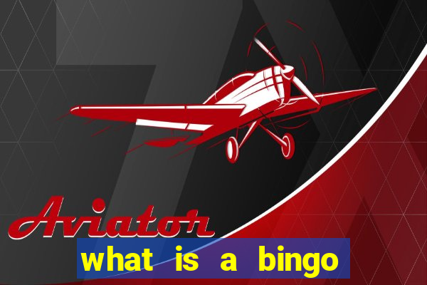 what is a bingo caller called