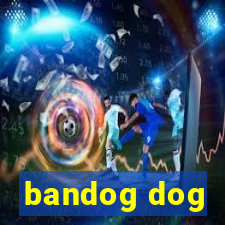 bandog dog