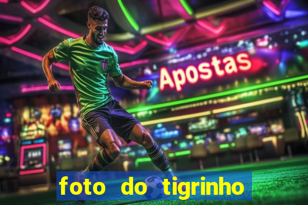 foto do tigrinho do jogo