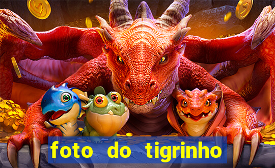 foto do tigrinho do jogo